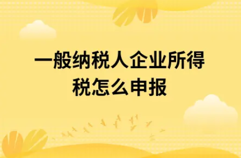​一般纳税人企业所得税怎么申报